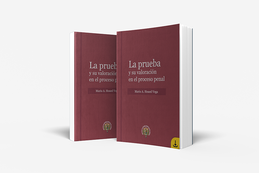 Libro: La prueba y su valoración en el proceso penal (2007)