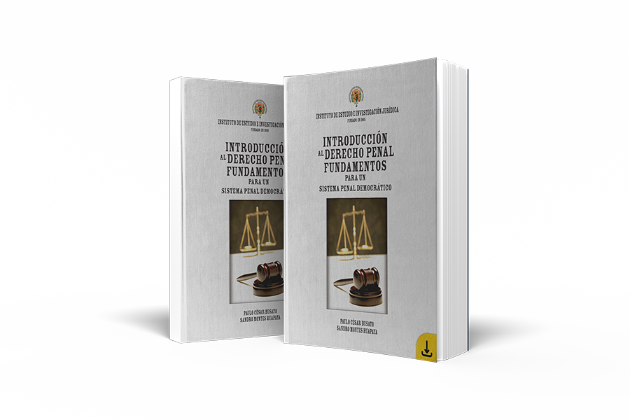 Libro: Introducción al Derecho Penal. Fundamentos para un sistema penal democrático (2009)