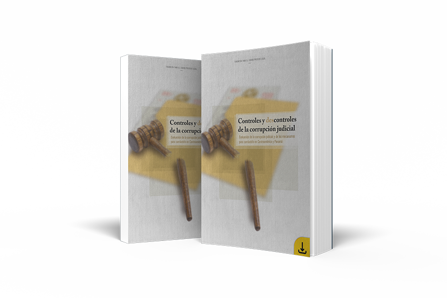 Libro: Controles y descontroles de la corrupción judicial (2007)