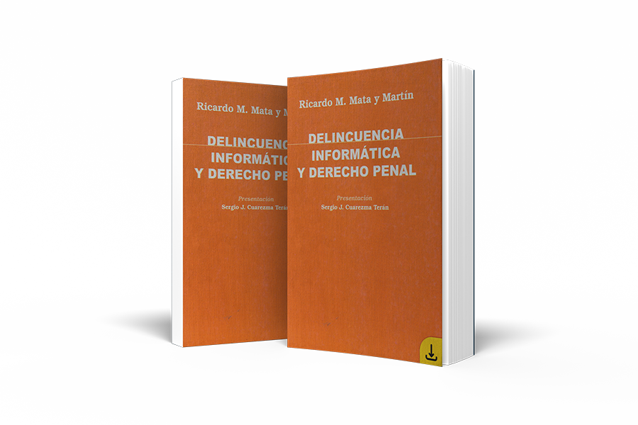 Libro: Delincuencia Informática y Derecho Penal (2003)