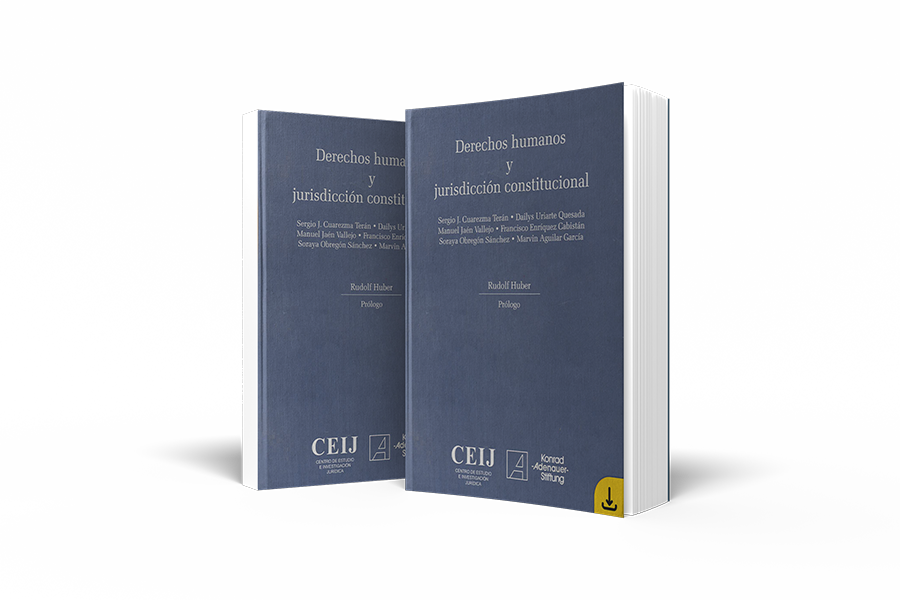 Libro: Derechos Humanos y Jurisdicción Constitucional (2006)