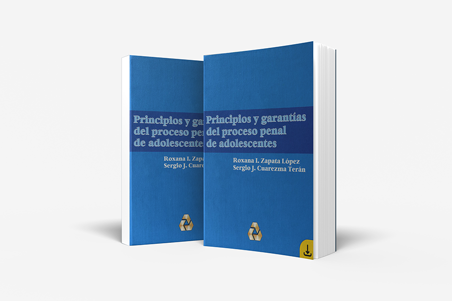 Libro: Principios y garantías del derecho procesal penal de adolescentes (2004)